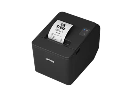 Epson TM-T20IV